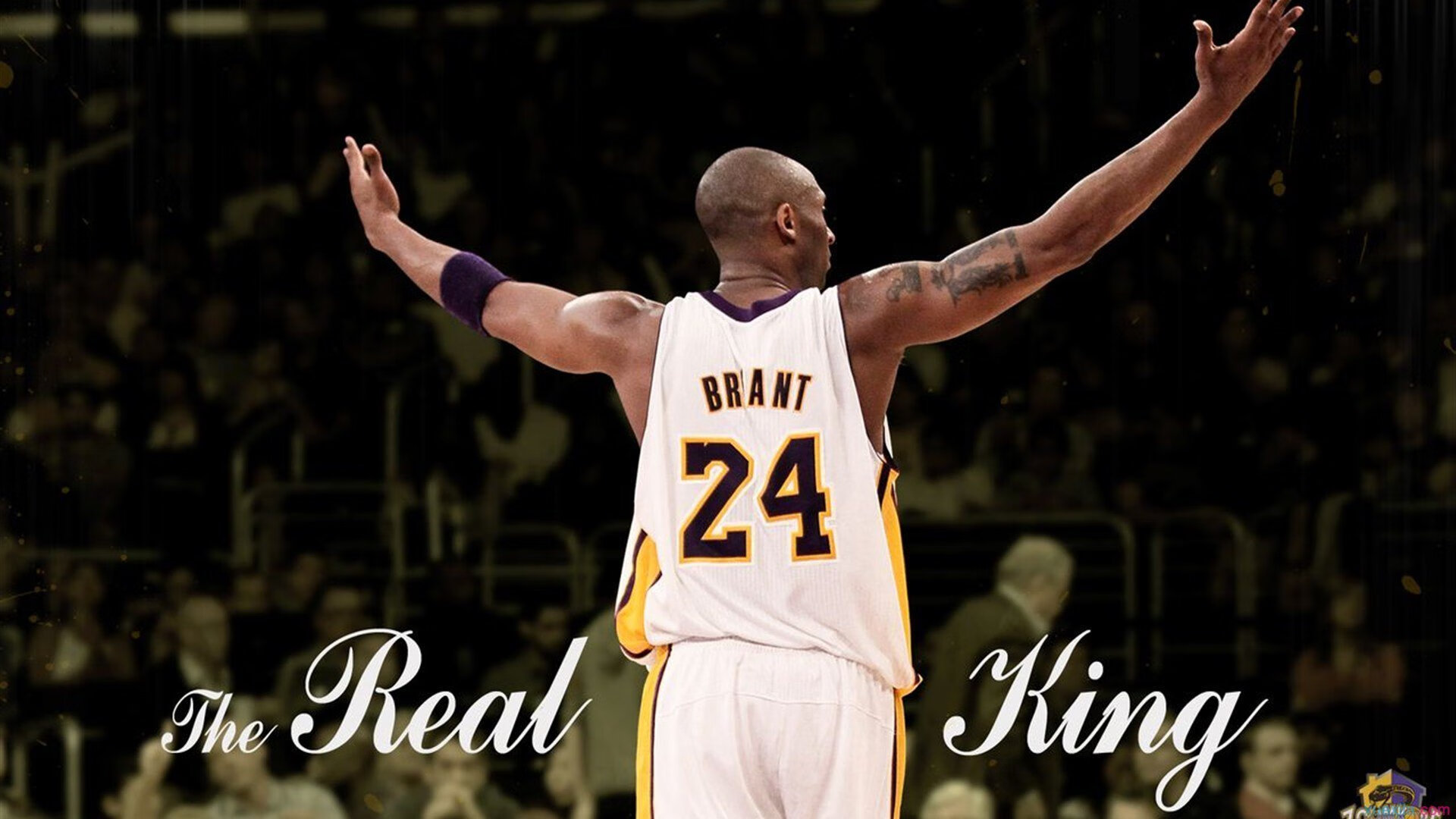 WRC急速追击：车手如何应对突发状况？，wrc极速